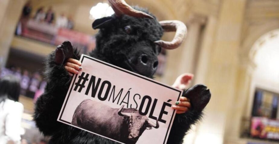 ¡No más olé! Congreso aprueba prohibición de corridas de toros en Colombia