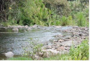 Desde la CRQ, se advirtió que El Niño podría llegar al 96 % y ponen en riesgo las fuentes hídricas