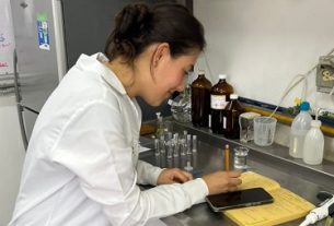 Investigadores de la Universidad del Quindío destacan el potencial de la cúrcuma como conservante natural