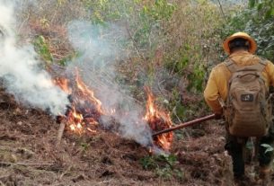 Armenia conforma brigada especializada para atender incendios forestales ante llegada del fenómeno de El Niño