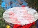Recién nacida fue rescatada tras ser hallada en un lote de Montenegro; autoridades activaron ruta de protección