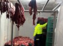 Judicializan a nueve presuntos integrantes de red que comercializaba carne equina no apta para el consumo humano