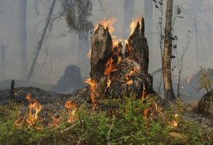 Quemas abiertas siguen prohibidas en Armenia ante riesgo por posible fenómeno de El Niño