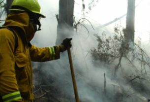 CRQ establece medidas temporales para reducir riesgos de escasez de agua e incendios forestales en el Quindío