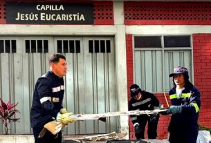 EPA retira 50 toneladas de residuos durante jornadas de limpieza tras el sismo en Armenia