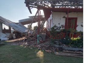 Federación Nacional de Cafeteros activa campaña internacional para apoyar a productores afectados por el sismo