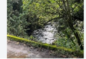 CRQ inicia actualización de las reglas para el uso del agua en la cuenca del río Roble