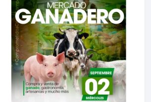 Mercado Ganadero de Circasia se realizará este miércoles 2 de septiembre