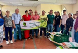 Alcaldía de Calarcá entrega insumos agrícolas a 22 productores de plátano para fortalecer el sector rural